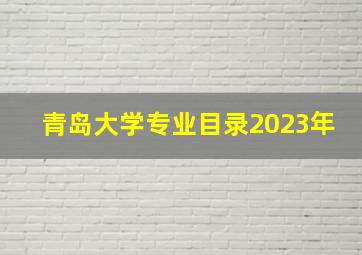 青岛大学专业目录2023年