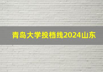 青岛大学投档线2024山东