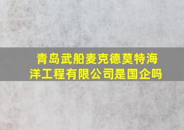 青岛武船麦克德莫特海洋工程有限公司是国企吗