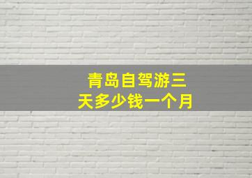 青岛自驾游三天多少钱一个月