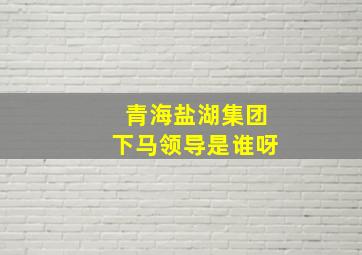 青海盐湖集团下马领导是谁呀