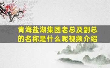 青海盐湖集团老总及副总的名称是什么呢视频介绍