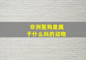 非洲鬣狗是属于什么科的动物