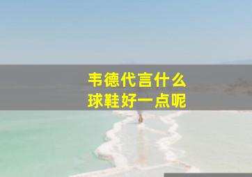 韦德代言什么球鞋好一点呢