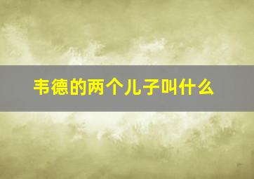 韦德的两个儿子叫什么