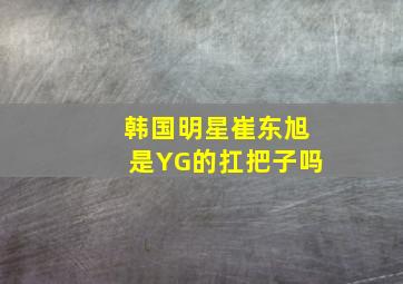 韩国明星崔东旭是YG的扛把子吗