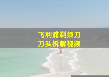 飞利浦剃须刀刀头拆解视频