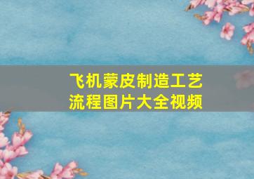 飞机蒙皮制造工艺流程图片大全视频