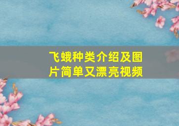 飞蛾种类介绍及图片简单又漂亮视频