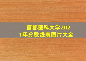 首都医科大学2021年分数线表图片大全