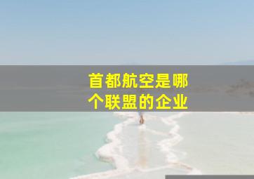 首都航空是哪个联盟的企业