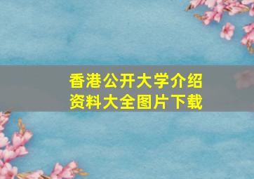 香港公开大学介绍资料大全图片下载