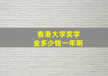 香港大学奖学金多少钱一年啊