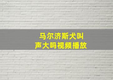 马尔济斯犬叫声大吗视频播放