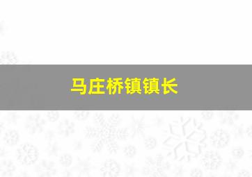 马庄桥镇镇长