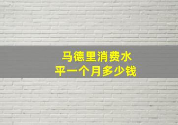 马德里消费水平一个月多少钱