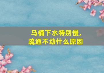 马桶下水特别慢,疏通不动什么原因