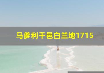 马爹利干邑白兰地1715