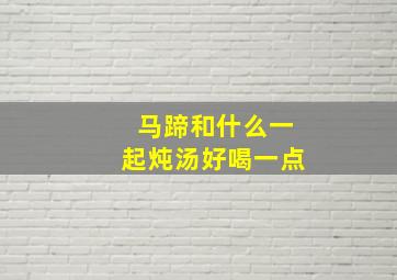 马蹄和什么一起炖汤好喝一点