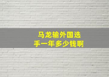 马龙输外国选手一年多少钱啊