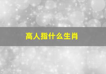 高人指什么生肖