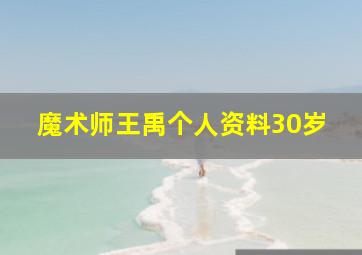 魔术师王禹个人资料30岁