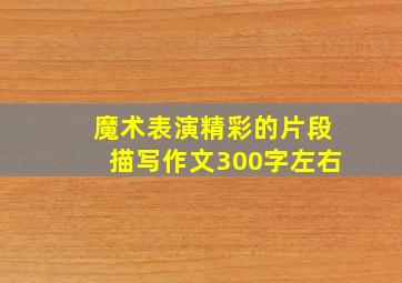 魔术表演精彩的片段描写作文300字左右