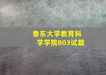 鲁东大学教育科学学院803试题