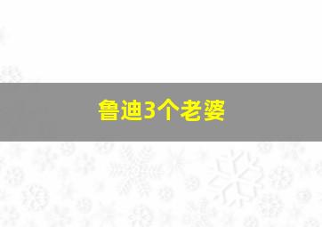 鲁迪3个老婆