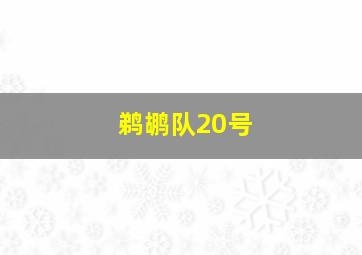 鹈鹕队20号