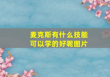 麦克斯有什么技能可以学的好呢图片