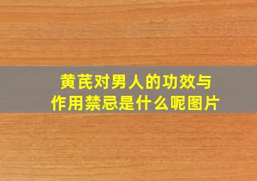 黄芪对男人的功效与作用禁忌是什么呢图片