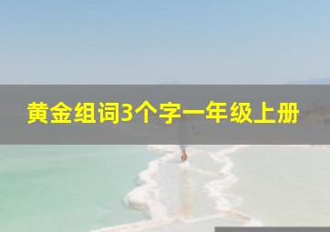 黄金组词3个字一年级上册