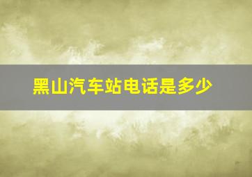 黑山汽车站电话是多少