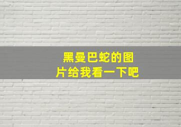 黑曼巴蛇的图片给我看一下吧