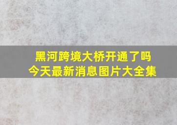 黑河跨境大桥开通了吗今天最新消息图片大全集