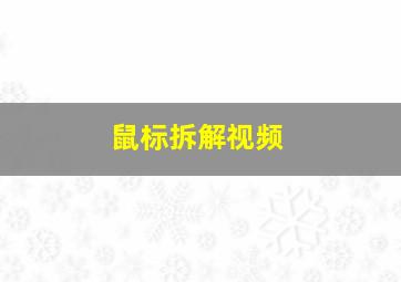 鼠标拆解视频