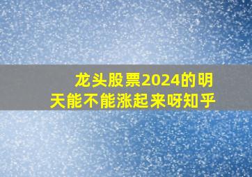 龙头股票2024的明天能不能涨起来呀知乎