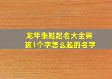 龙年张姓起名大全男孩1个字怎么起的名字