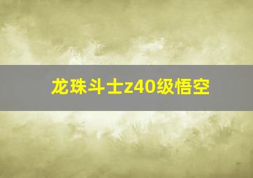 龙珠斗士z40级悟空