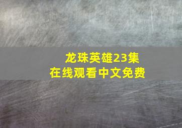 龙珠英雄23集在线观看中文免费