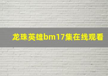 龙珠英雄bm17集在线观看