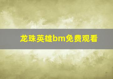 龙珠英雄bm免费观看