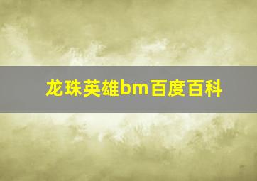 龙珠英雄bm百度百科